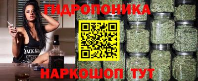 jwh Севастополь